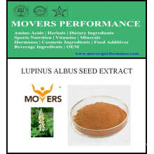 Hot Slaes Ingrediente Cosmético: Lupinus Albus Seed Extract
